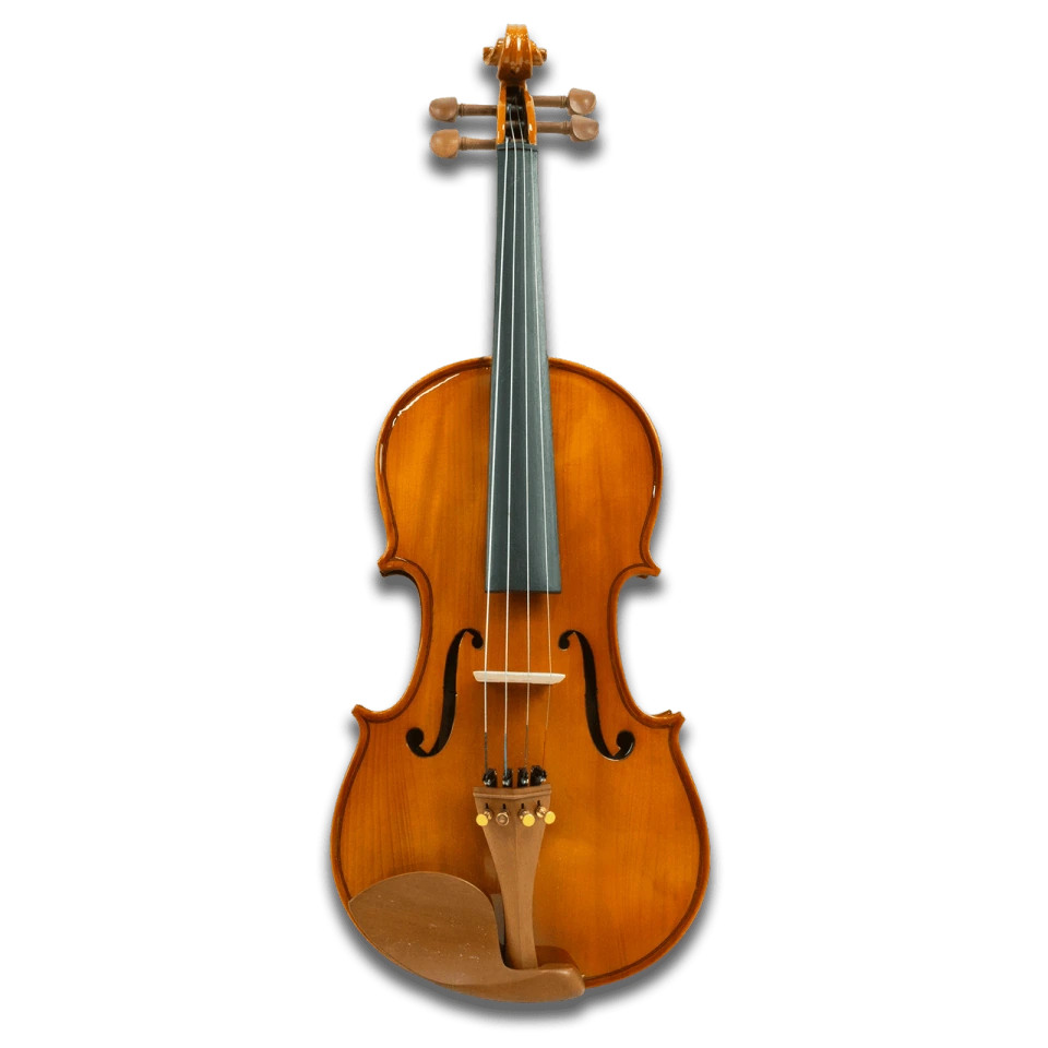 Hertz VG-03 Violin with Spruce Top, Maple Back, Rosewood Fingerboard, Jujube Fittings and Spray-Painted Finish for Students, Beginners and Practice
