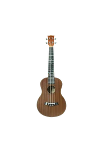 HERTZ HERTZ HZA - UK(24) Professional Guitar