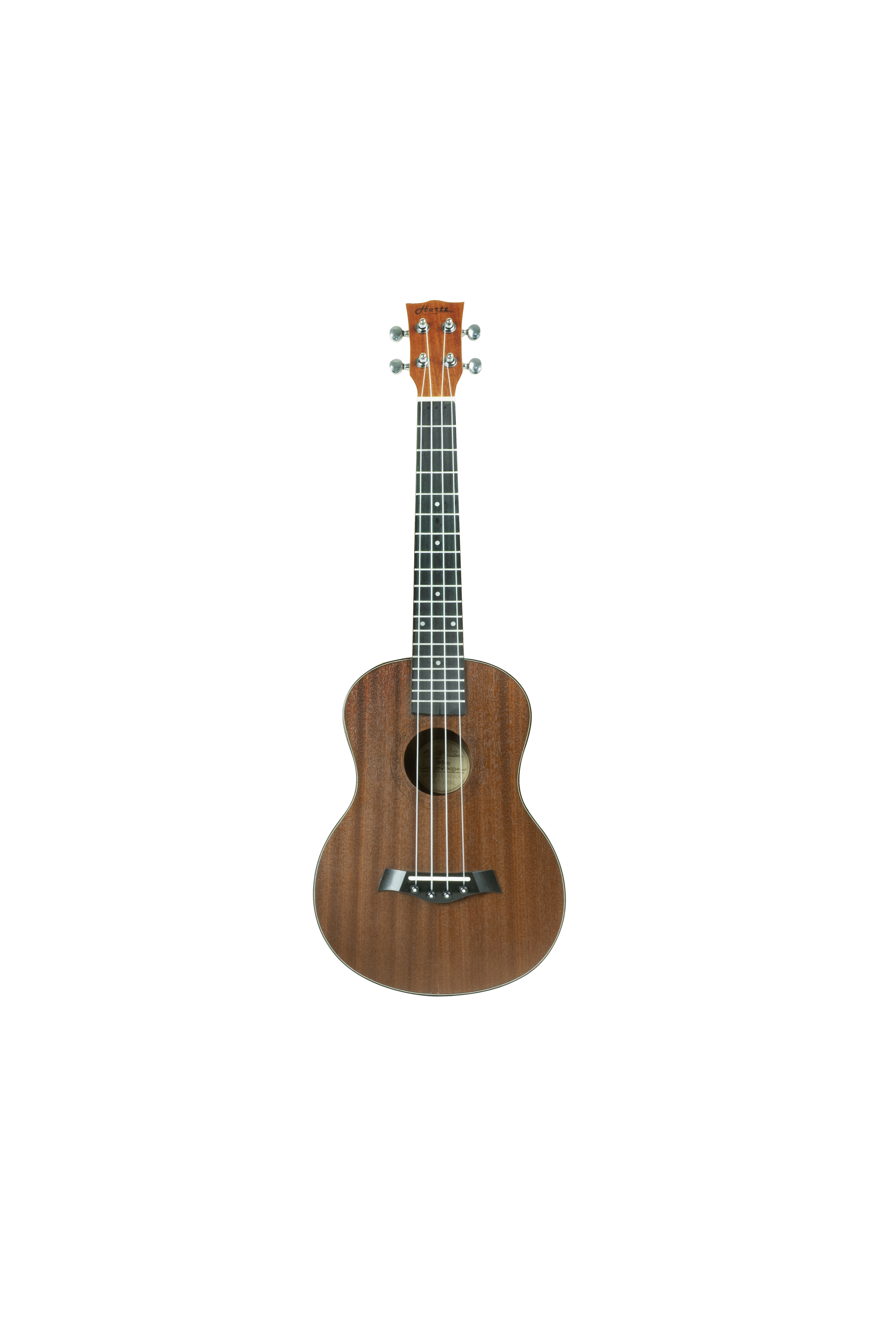 HERTZ HERTZ HZA - UK(24) Professional Guitar
