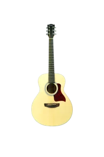 HERTZ HZA-3600 Natural Finish Acoustic Guitar for Beginners & Intermediate Players, Full Size Wooden Guitar for Practice, Music Classes, Stage Performance & Studio Recording
