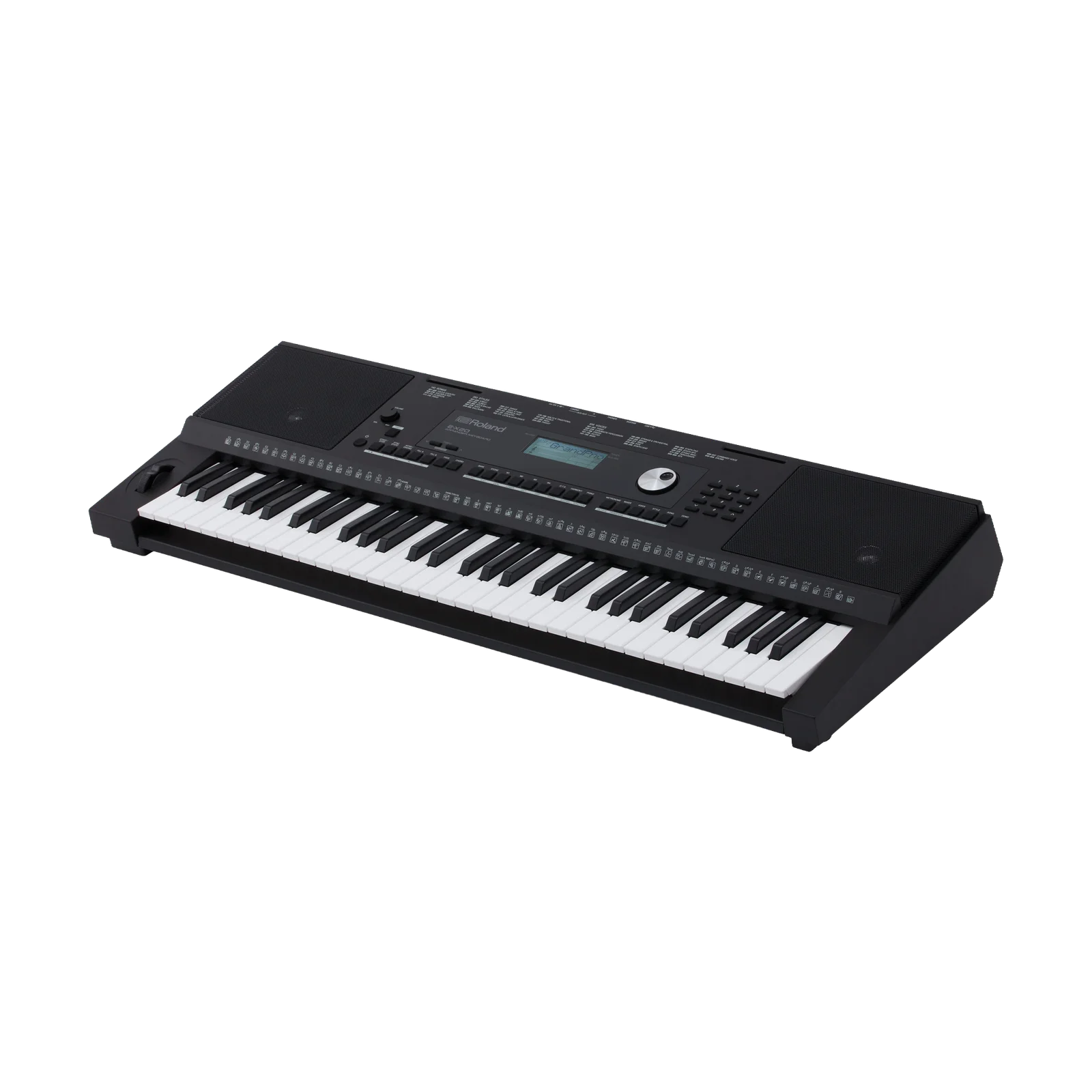 ROLANDD ROLAND EX - 20 Professional Audio Equipment for Musicians, Live Performance and Studio Applications view 1